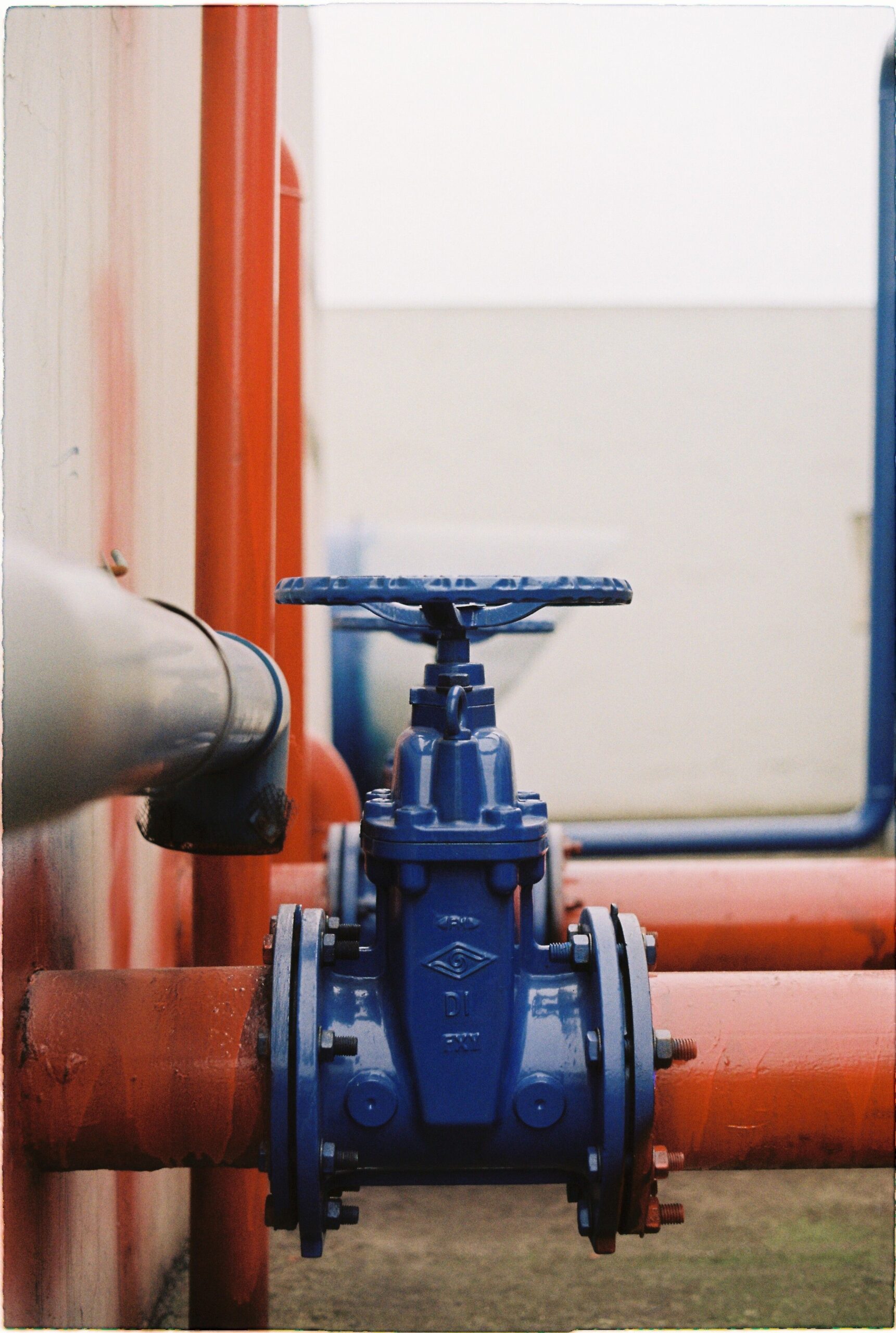 Valve on water piping, similar in role to a well pump check valve